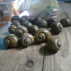 Talleres Artísticos