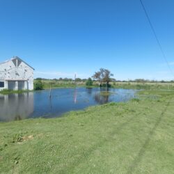 La misma historia de siempre: abandono estatal y crecida del río en La Vuelta del Paraguayo.